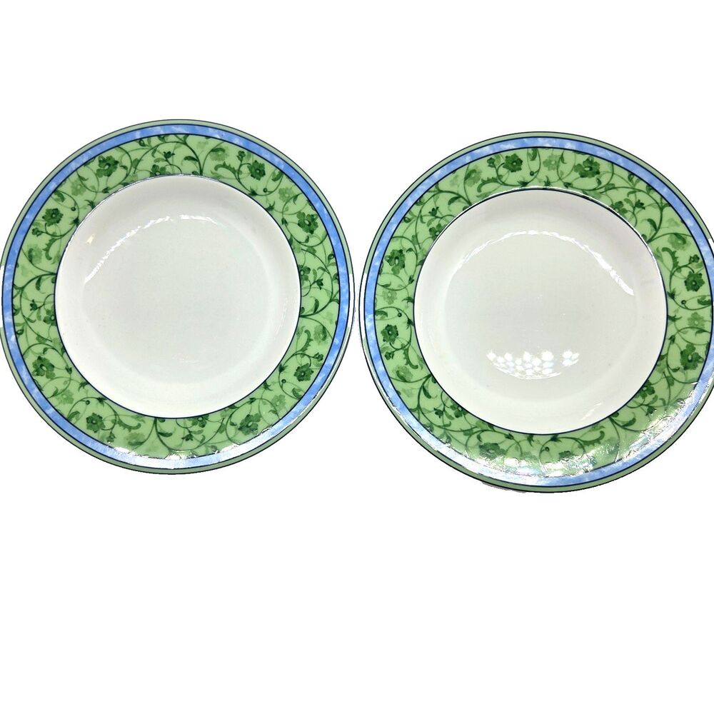 Wedgwood Home "Water Colour" Set Of 2 Discontinued 9 1/8" Rimmed Soup Bowls VGC